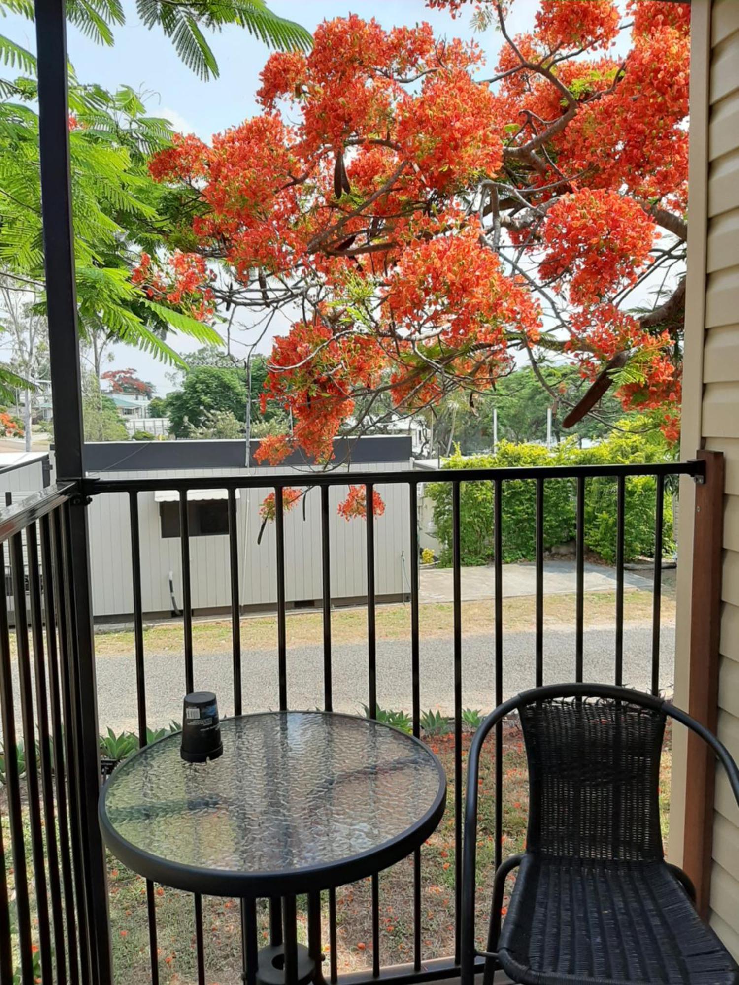 Mt Larcom Tourist Park Hotel Mount Larcom Buitenkant foto