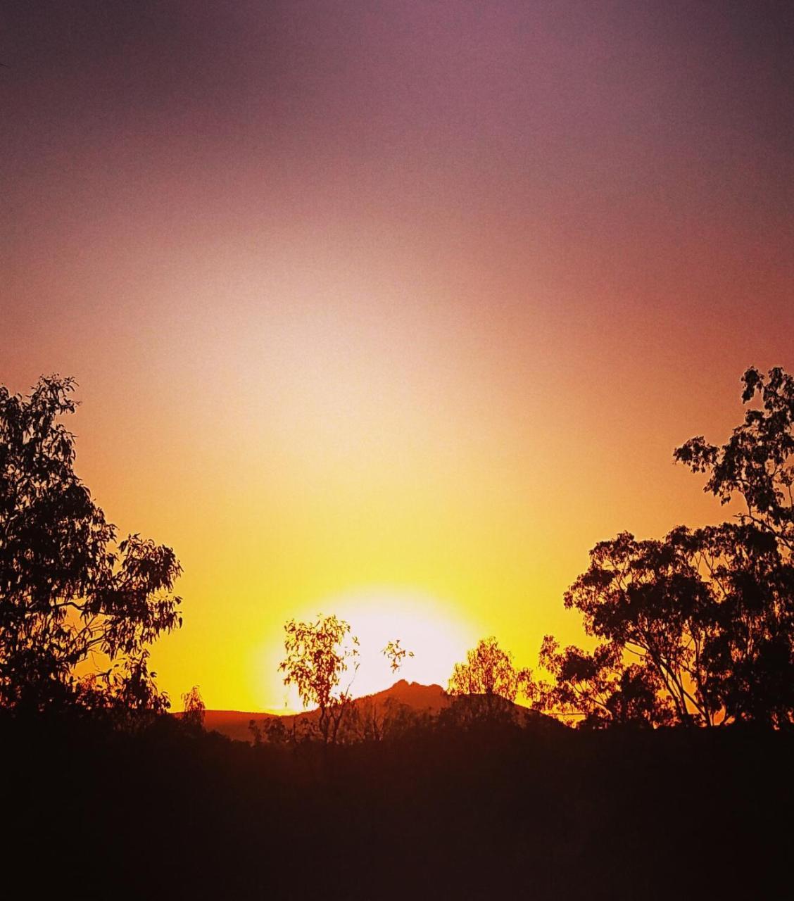 Mt Larcom Tourist Park Hotel Mount Larcom Buitenkant foto