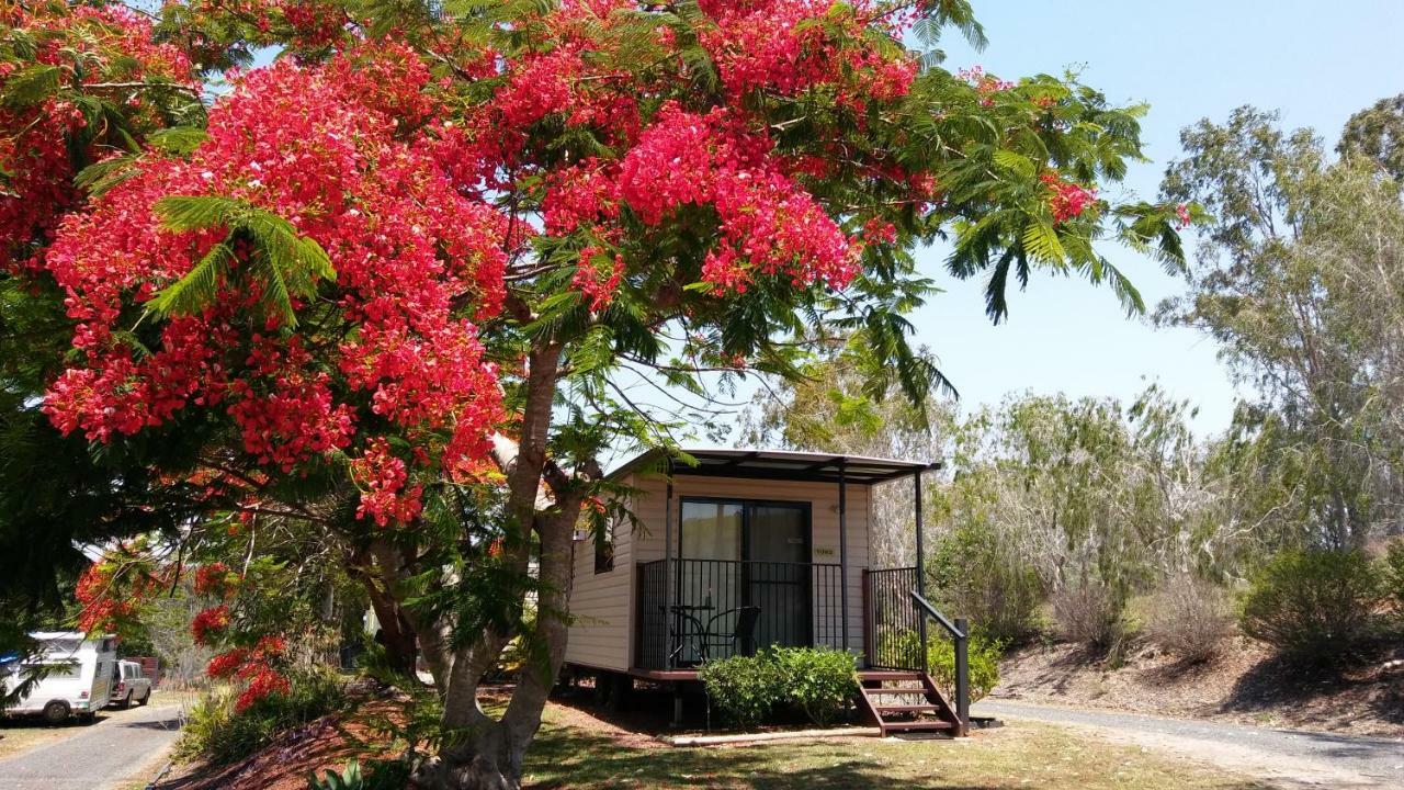 Mt Larcom Tourist Park Hotel Mount Larcom Buitenkant foto