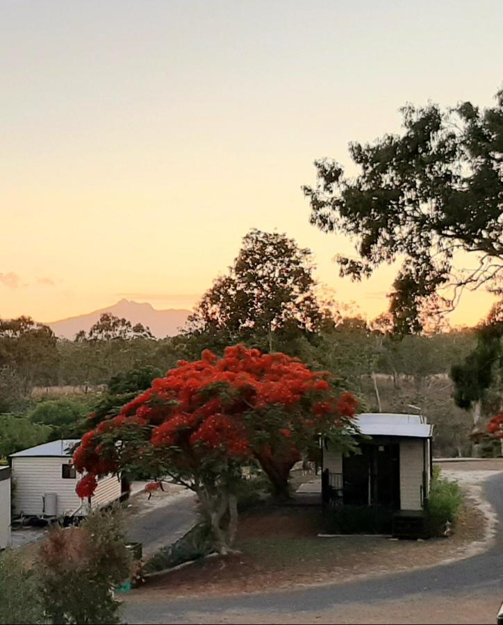 Mt Larcom Tourist Park Hotel Mount Larcom Buitenkant foto
